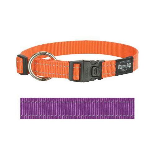 Rogz For Dogs Fanbelt Halsband Paars 20 MMX34-56 CM HOND ROGZ FOR DOGS 